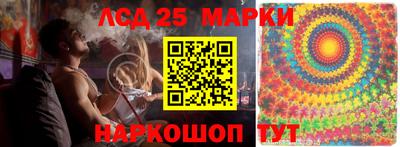 spice Кингисепп