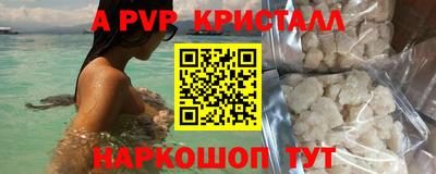 крисы Кинель