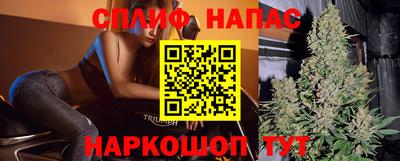 крисы Кинель