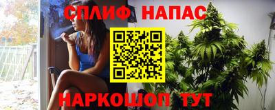 крисы Кинель
