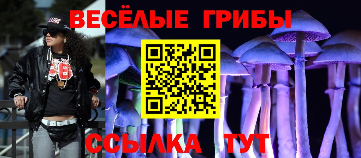 Псилоцибиновые грибы прущие грибы  Вход с VPN  даркнет сайт  Кострома 